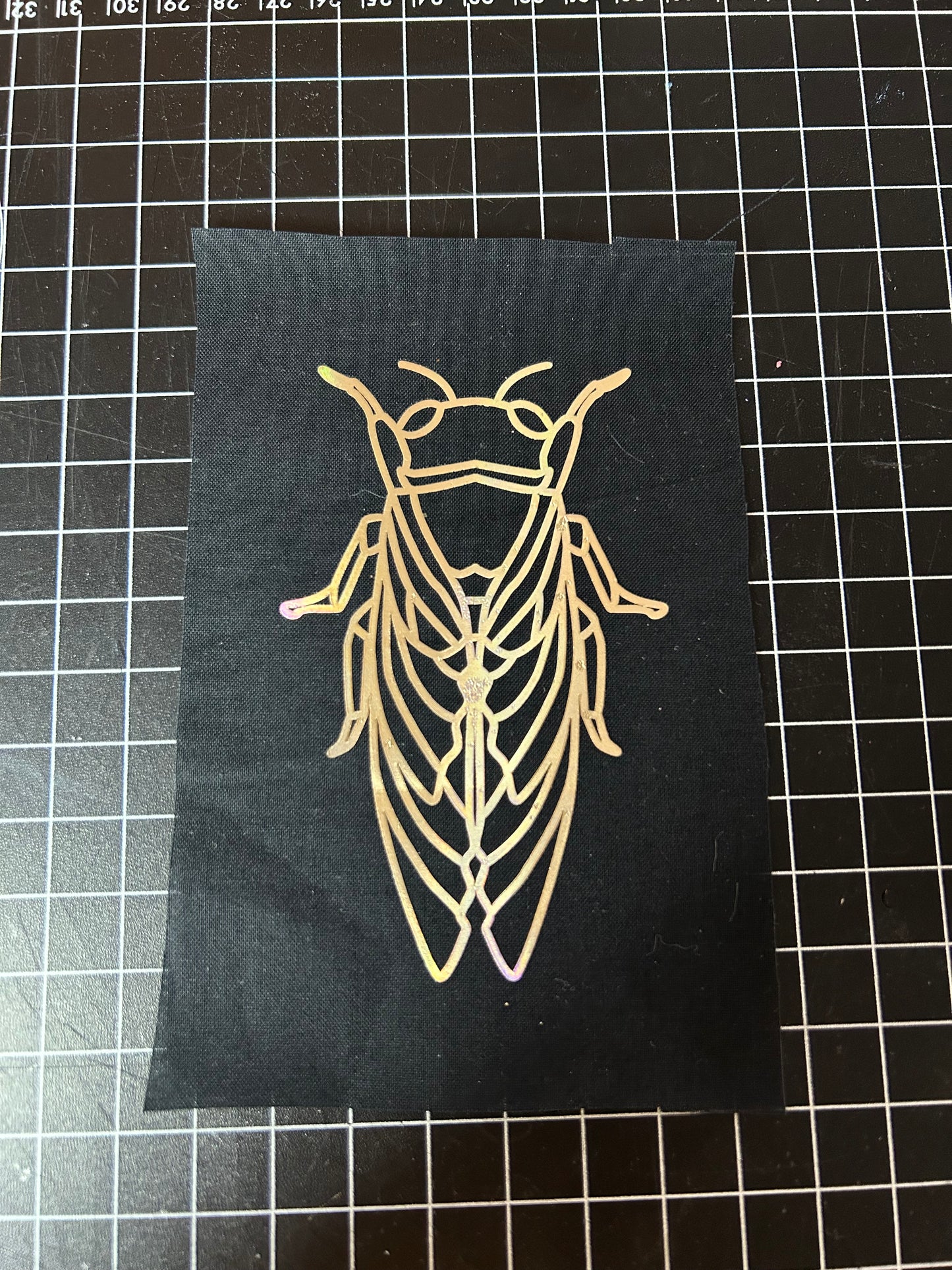 Cicada patch