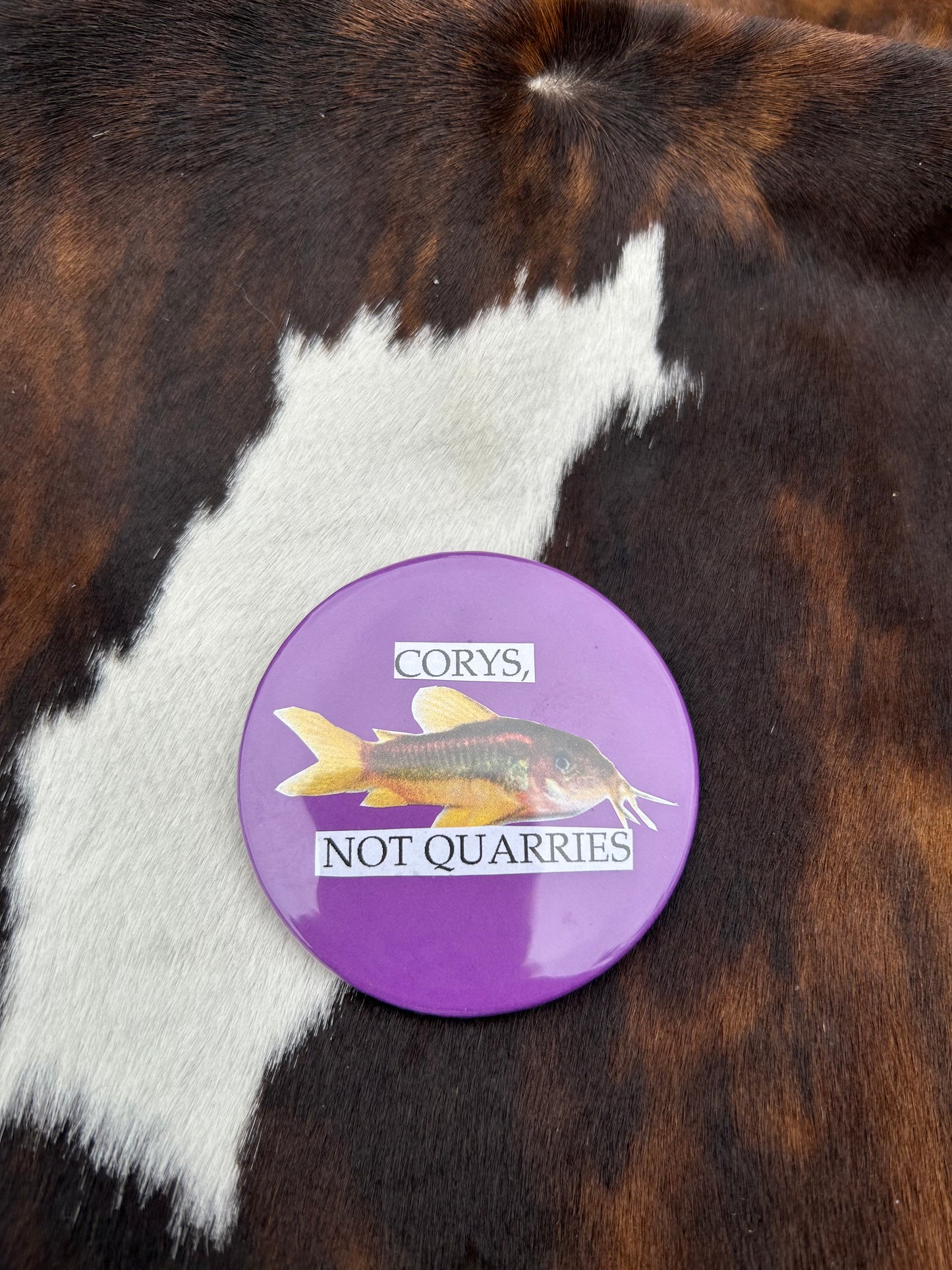 Corys, not quarries pin